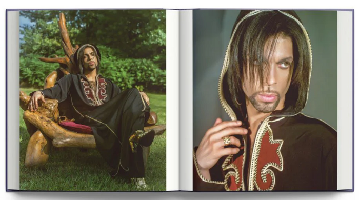Prince: Icon van Iconic Images en Steve Parke – Bliss Bae